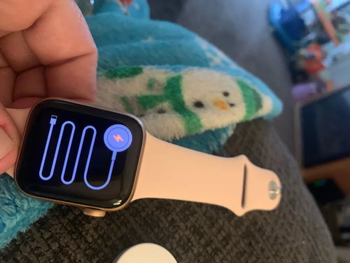 五百元智能戒指 不充电、不联网、无AI，为何仍能“智能”？